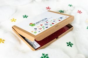 BOX MYSTÈRE '' Spécial Noël '' 
